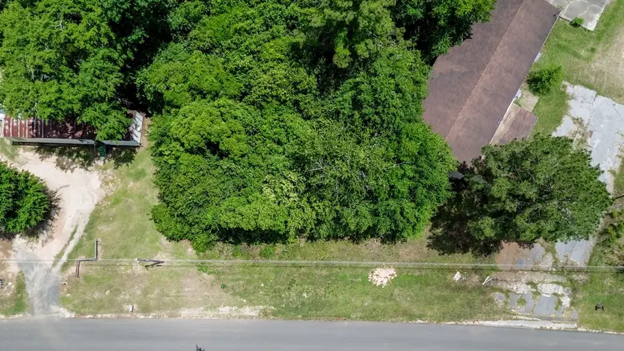 Lot 33 Thomas St (lot 33 Mcgriff Subdivision), Attapulgus, GA 39815 - #2