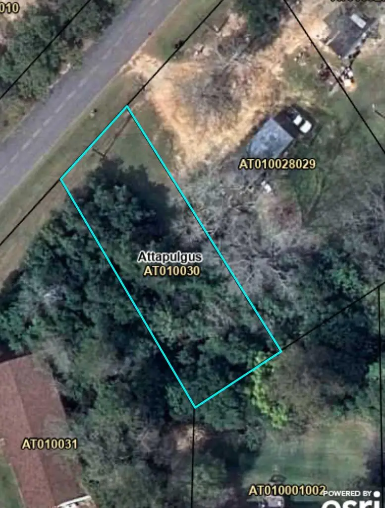 Lot 33 Thomas St (lot 33 Mcgriff Subdivision), Attapulgus, GA 39815 - #3