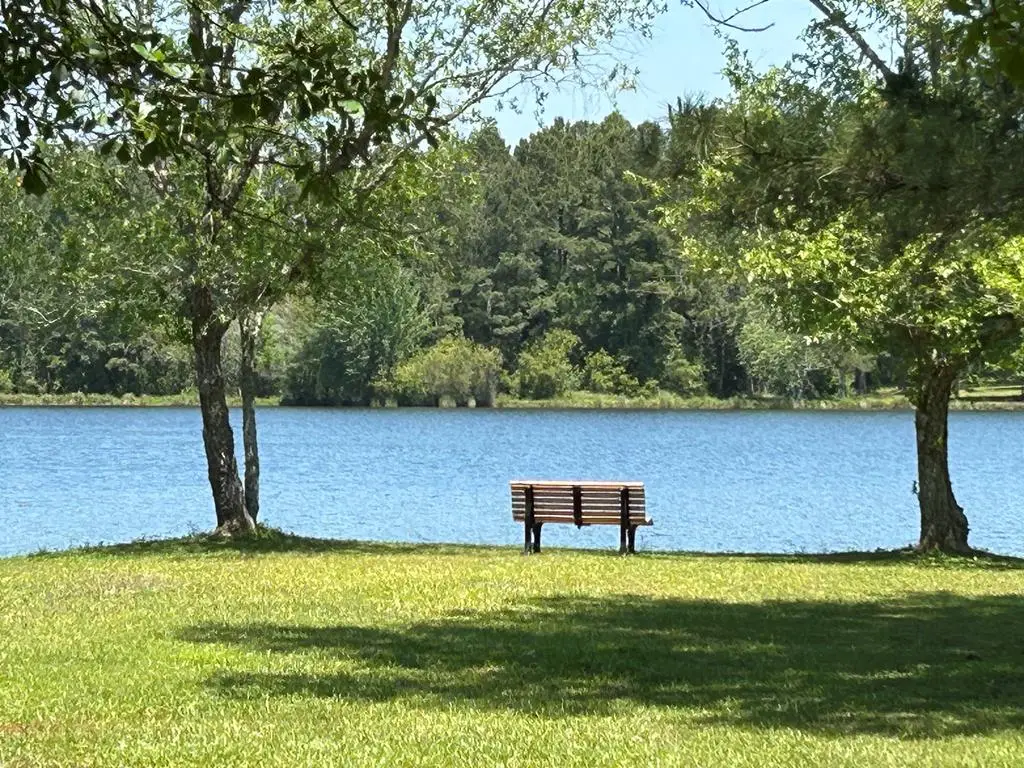 Lot 12C Garretts Point, Meigs, GA 31765 - Image #1