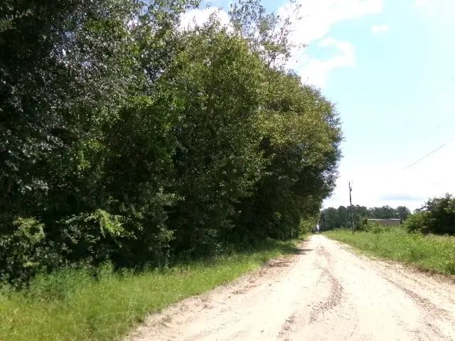 TBD Sassafras Tea Road, Camilla, GA 31730 - Image #2