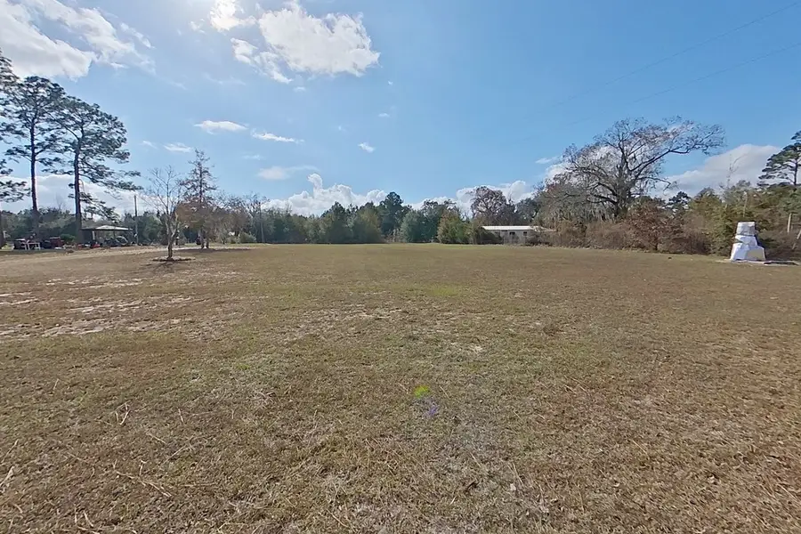 8049 Lake Eloise Drive, Donalsonville, GA 39845 - Image #2