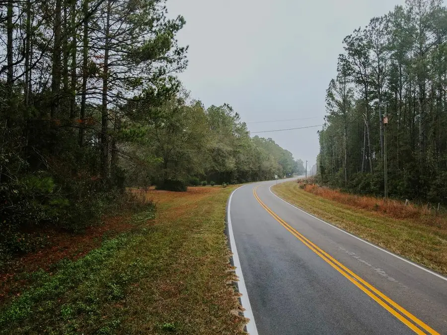 0 Hamlin/mckinnon Rd, Quitman, GA 31643 - Image #3