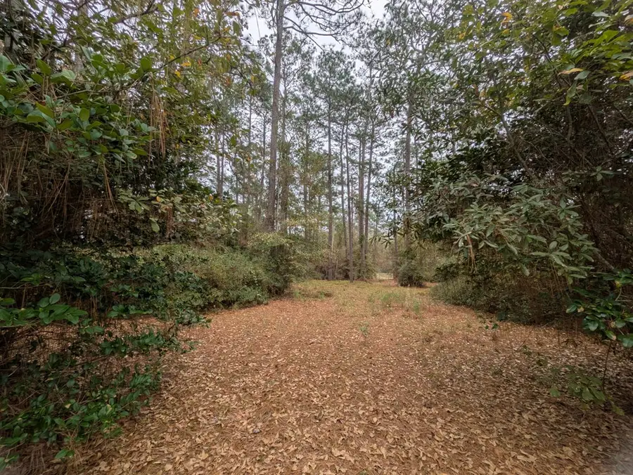 00 Pinewood Place, Thomasville, GA 31792 - Image #3