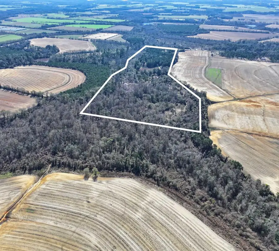 00 Hwy 93, Pelham, GA 31779 - #2