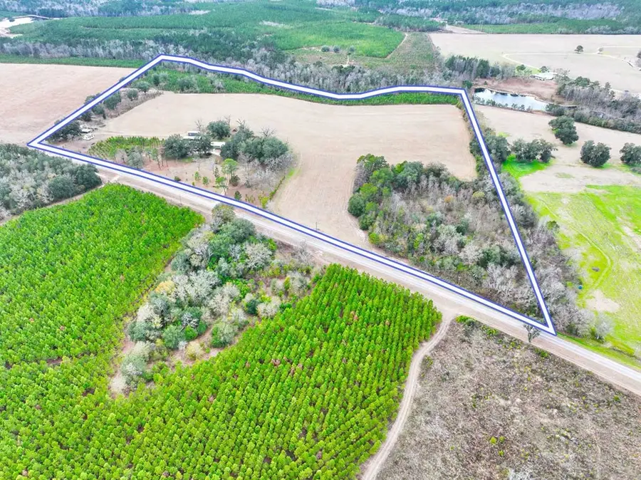 258 Smithtown Rd, Bainbridge, GA 39819 - #2