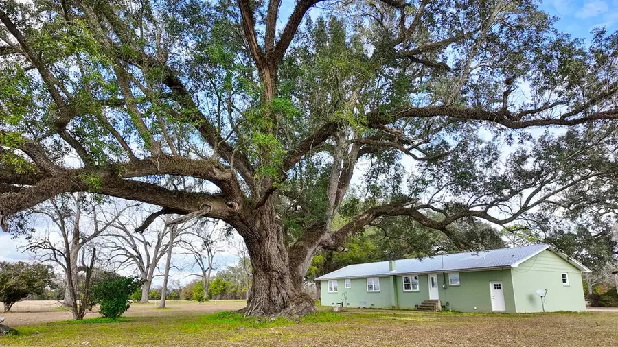 258 Smithtown Rd, Bainbridge, GA 39819 - #3