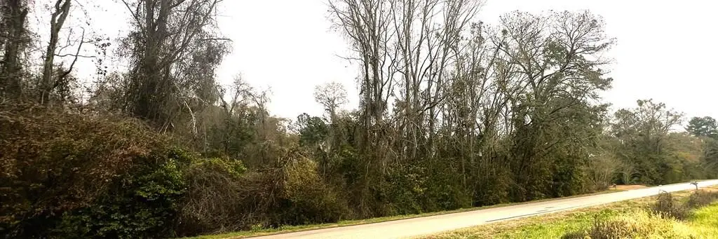 7.1ACR Beaty Rd. (3898 Beaty Rd.), Pavo, GA 31778 - #1