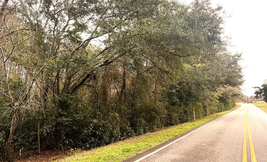 7.1ACR Beaty Rd. (3898 Beaty Rd.), Pavo, GA 31778 - #3