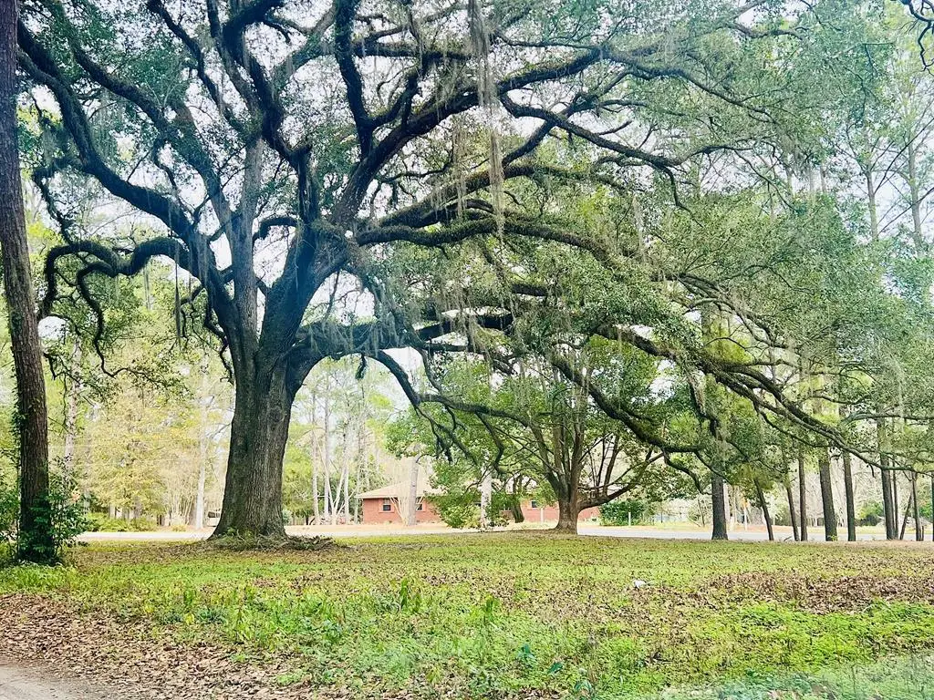 3.97ACR Beaty Rd., Pavo, GA 31778 - #1