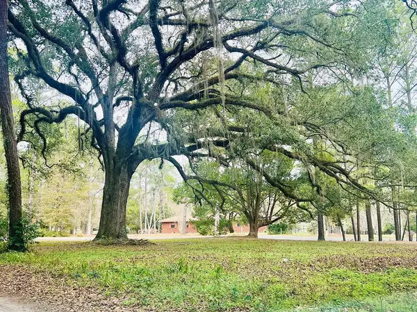 3.97ACR Beaty Rd., Pavo, GA 31778