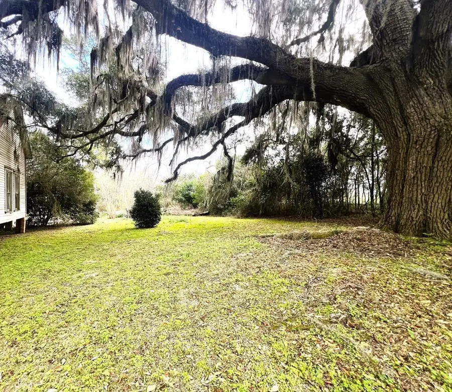 3.97ACR Beaty Rd., Pavo, GA 31778 - #3