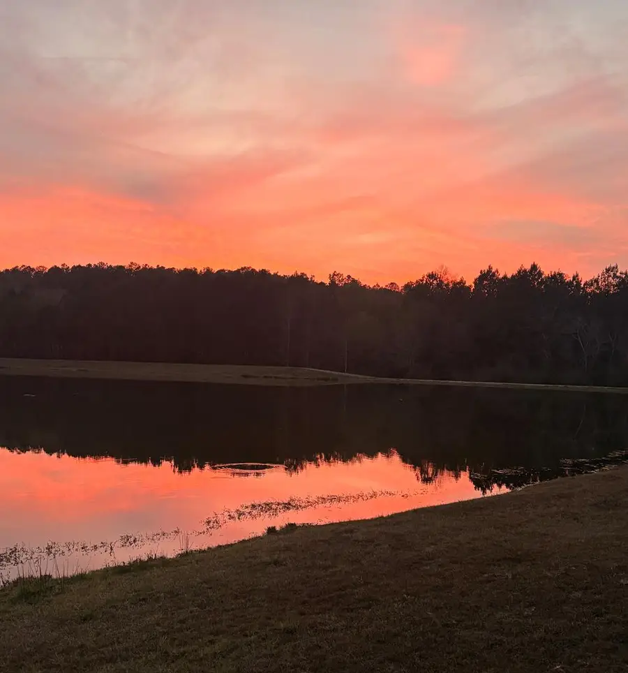 303 Palm Island Drive, Thomasville, GA 31792 - #3