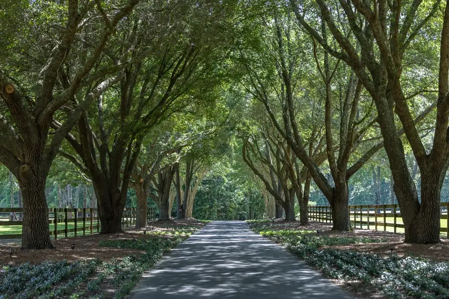 1477 Fox Meadow Lane, Thomasville, GA 31757 - #2