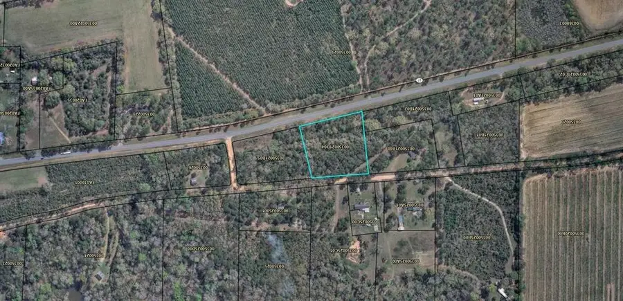 Lot #4 Old Faceville Rd, Bainbridge, GA 39819 - #2