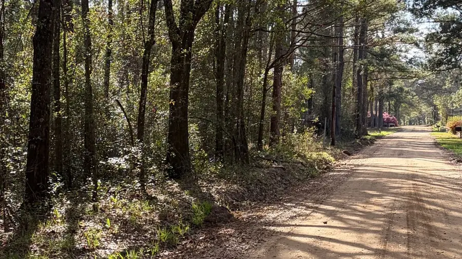 Lot #4 Old Faceville Rd, Bainbridge, GA 39819 - #3