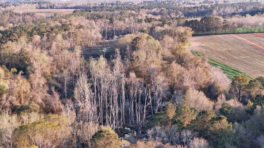 00 Cuffhead Rd., Cairo, GA 39828 - #3