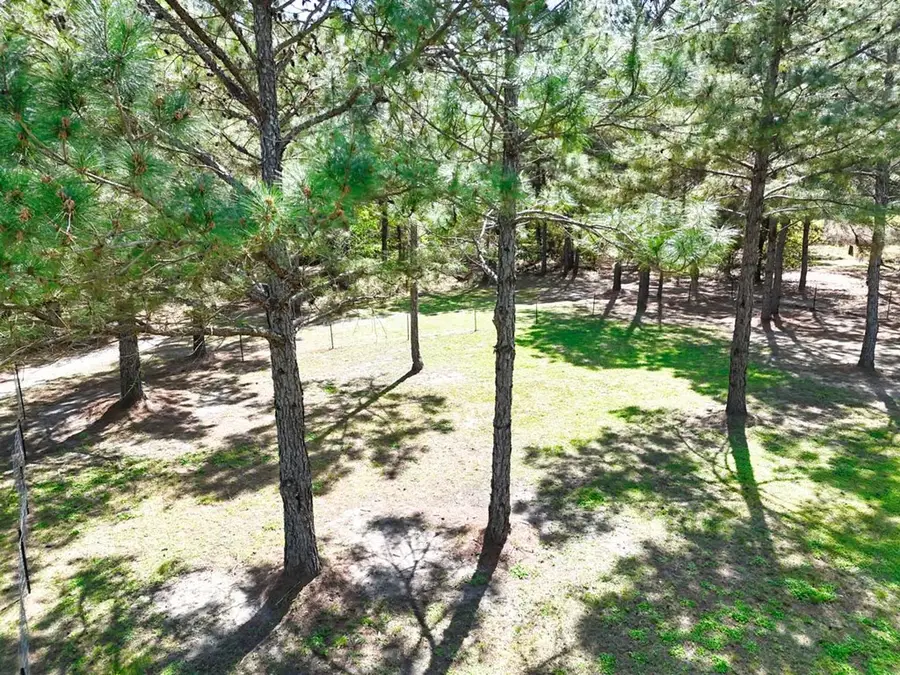 450 Pine Forest Road, Ochlocknee, GA 31773 - #3