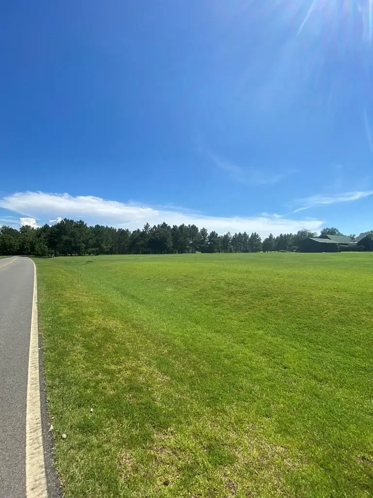 00 NW Westlake Dr., Cairo, GA 39828 - #2