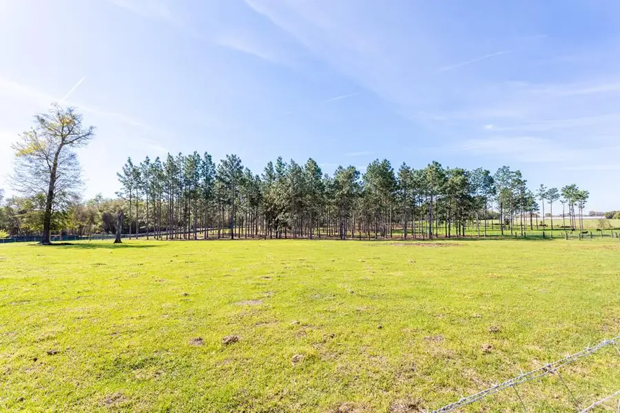 192 Breedlove Road, Bainbridge, GA 39817 - #2