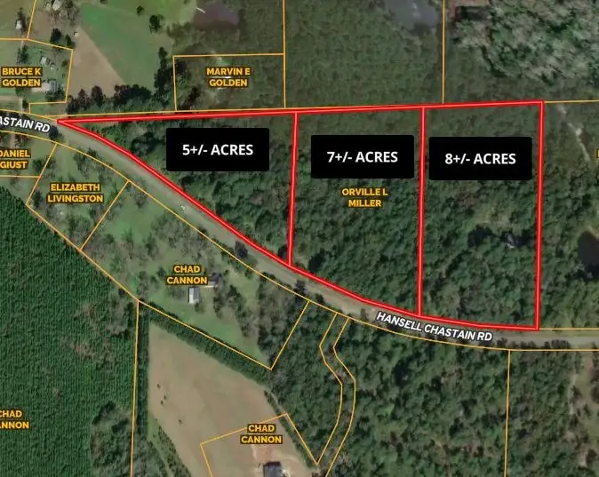815 Hansell Chastain Rd (5+/- Acres) #1, Thomasville, GA 31757 - #2