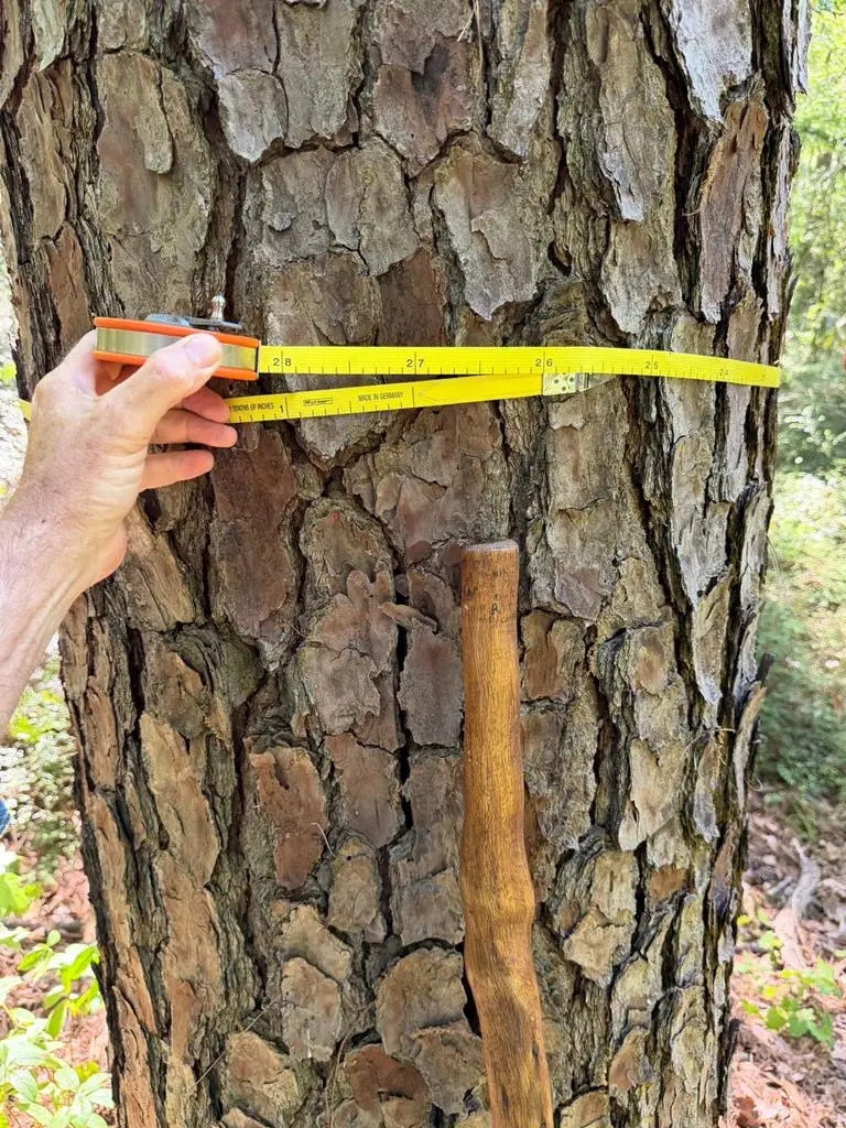 815 (2) Hansell Chastain Rd (7 Acres) #2, Thomasville, GA 31757 - #1