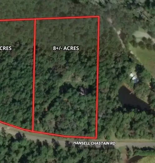 815 (3) Hansell Chastain Rd (8+/- Acres), Thomasville, GA 31757 - #3