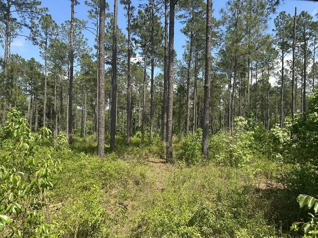 00 Rupp Road, Ochlocknee, GA 31773 - #1