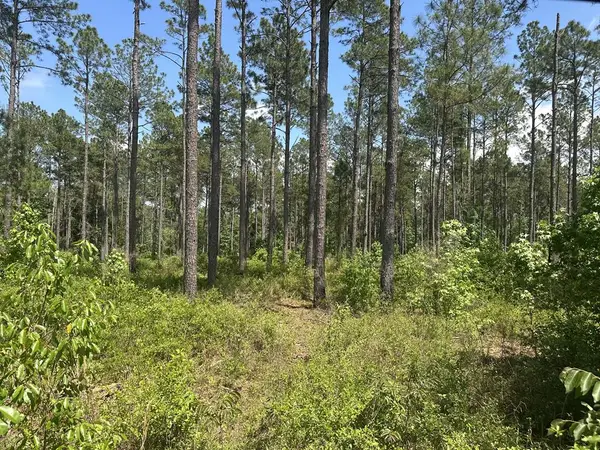 00 Rupp Road, Ochlocknee, GA 31773