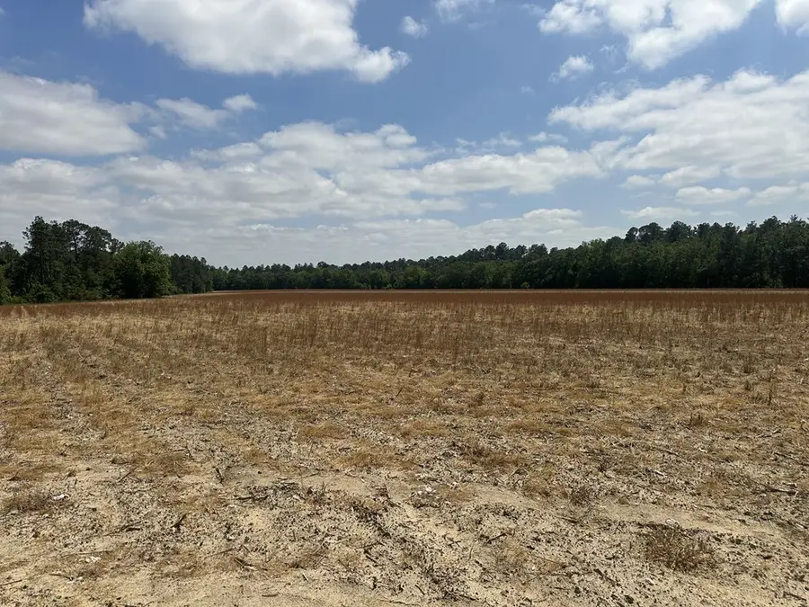 00 Rupp Road, Ochlocknee, GA 31773 - #2