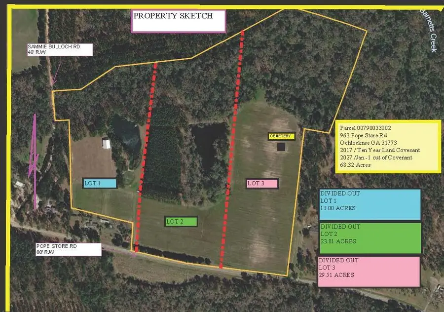 963 Popes Store Rd 23 Acres #2, Cairo, GA 39827 - #2