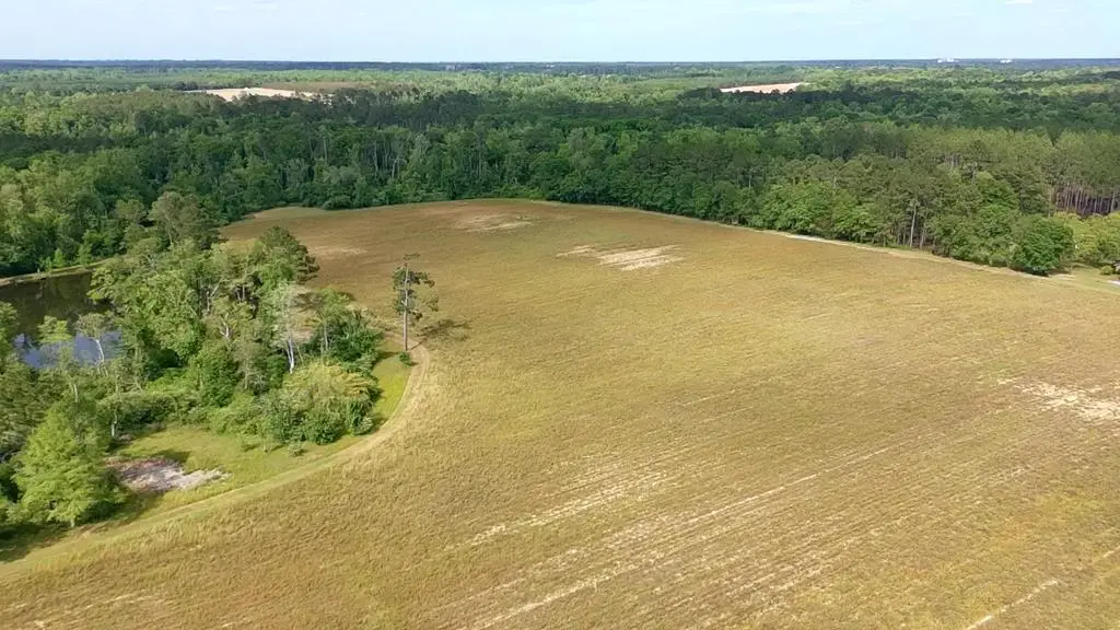 963 Popes Store Rd 29 Acres #3, Cairo, GA 39827 - #1