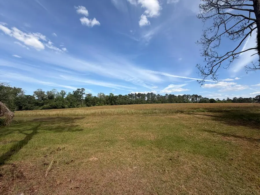 963 Popes Store Rd 29 Acres #3, Cairo, GA 39827 - #3