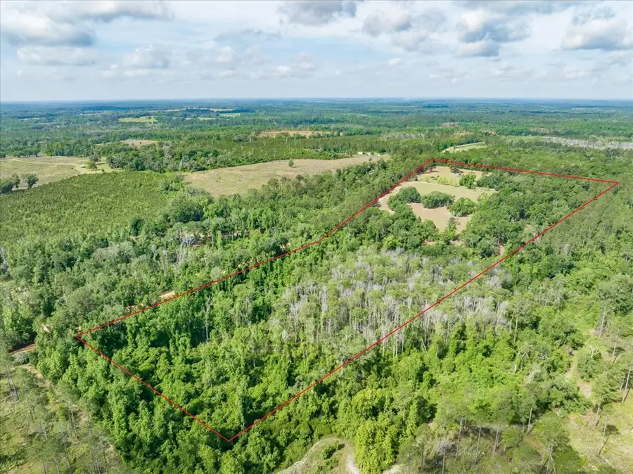 299 Radford Rd, Quitman, GA 31643 - #2