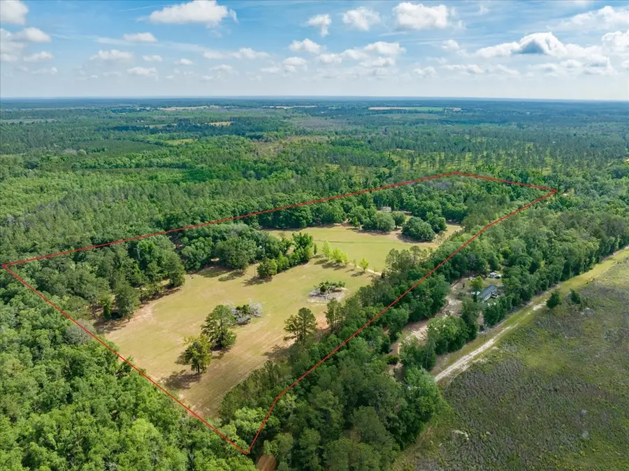 299 Radford Rd, Quitman, GA 31643 - #3