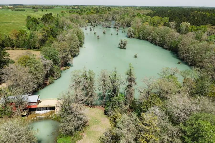 2519 Killarney Road, Jakin, GA 39861 - #2