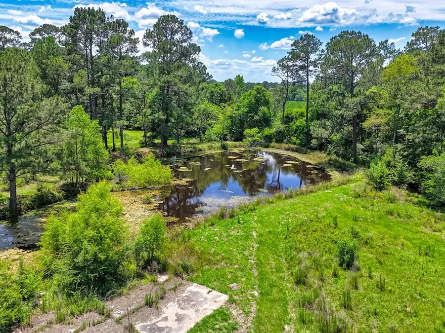 851 Old Newton Rd., Pelham, GA 31779 - #3