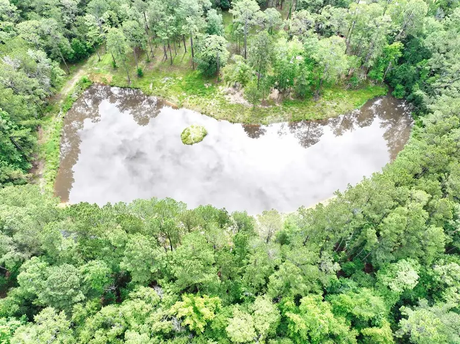 00 Patterson Still Rd 10.44 Acres, Thomasville, GA 31792 - #3