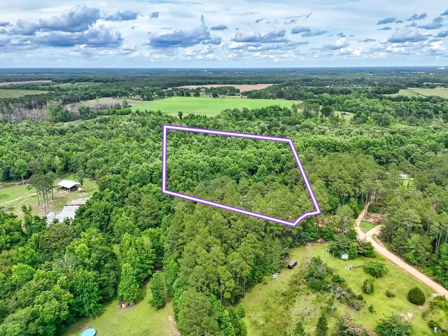 239 Boy Dr, Pelham, GA 31779 - #2