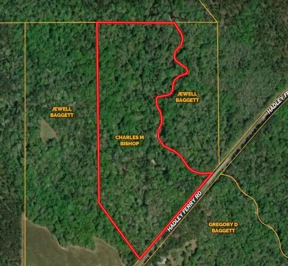 4574 Hadley Ferry Rd (45+/- Acres), Cairo, GA 39828 - #2