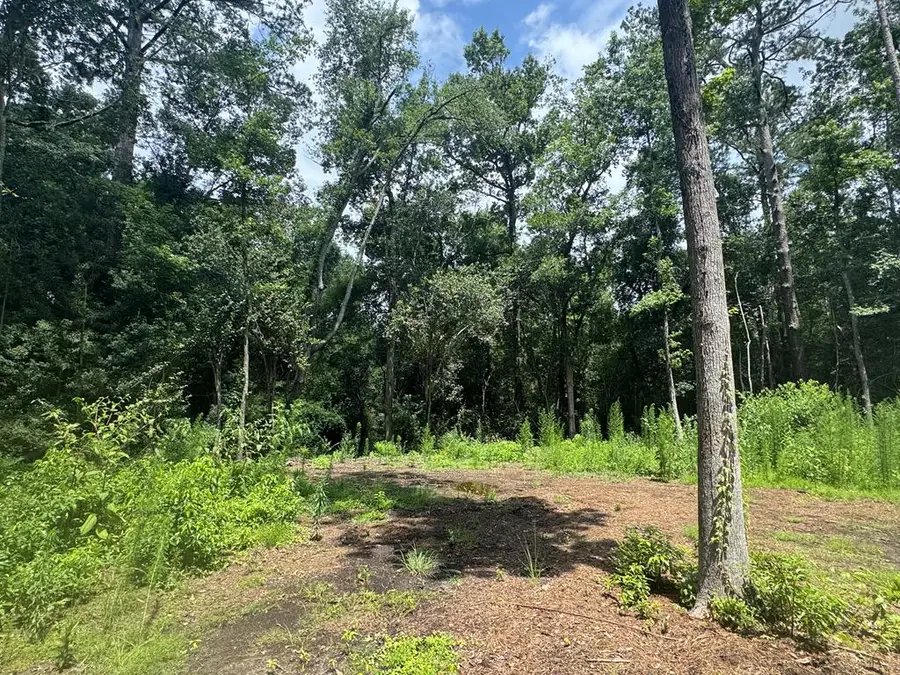 1511 N Dawson St., Thomasville, GA 31792 - #2
