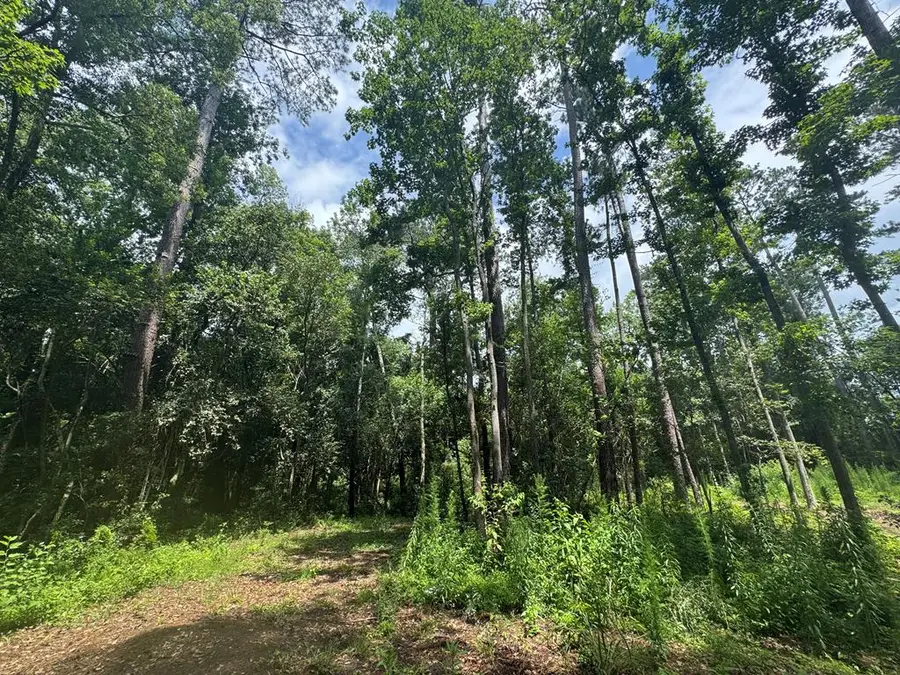 1511 N Dawson St., Thomasville, GA 31792 - #3