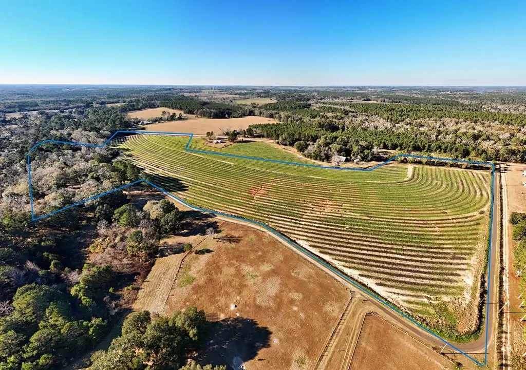 00 Tired Creek Rd., Whigham, GA 39897 - #1