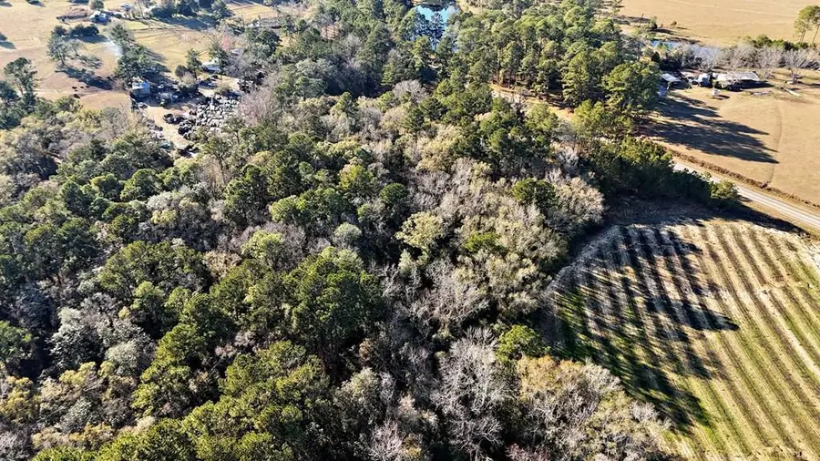 00 Tired Creek Rd., Whigham, GA 39897 - #2