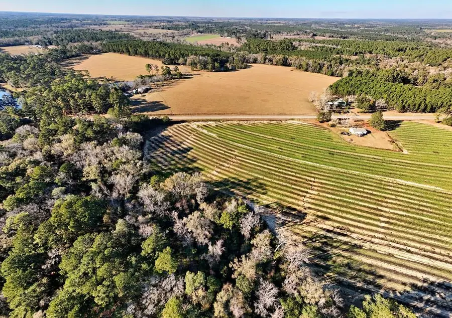 00 Tired Creek Rd., Whigham, GA 39897 - #3