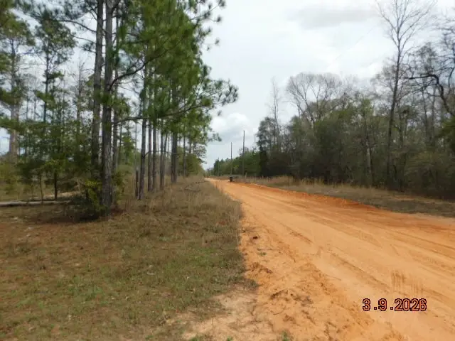 2811 Clubhouse Road, Coleman, GA 39836 - #3
