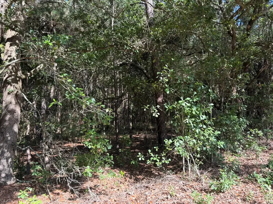 Tract #1 Convick Circle, Pavo, GA 31778 - #3