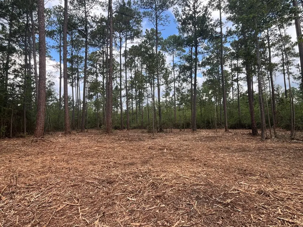00 Sanford Road (3 Acres), Thomasville, GA 31757 - #1