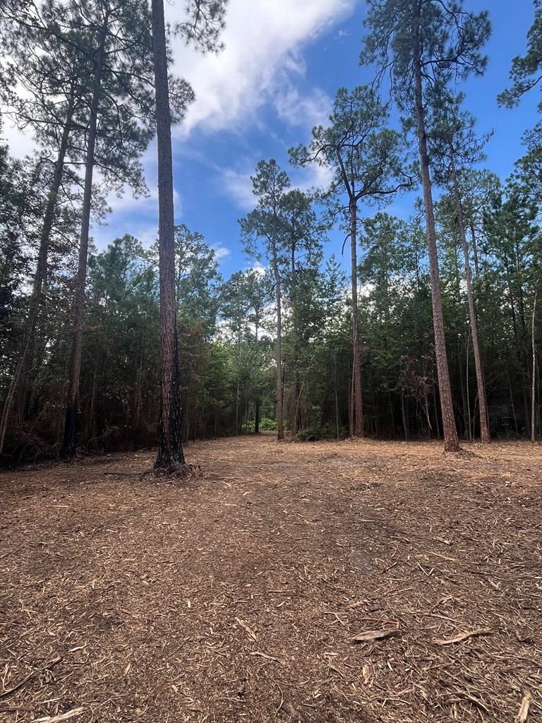 00 Sanford Road (3 Acres), Thomasville, GA 31757 - #3