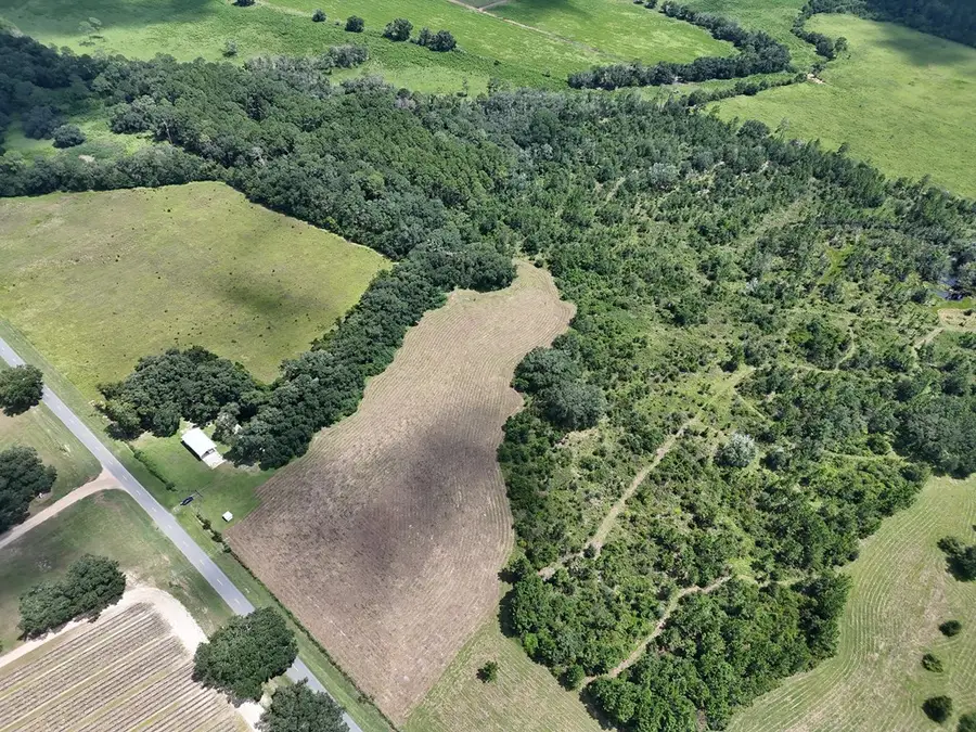 4951 Ione Rd., Pavo, GA 31778 - #3