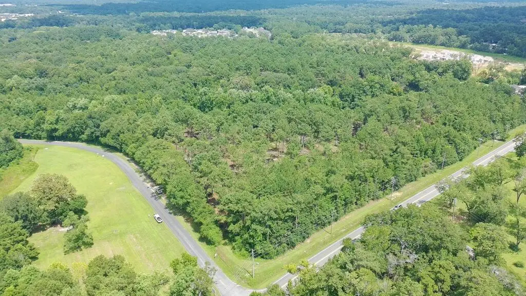 0000 Ga Hwy 3, N. Pinetree Blvd, Cassidy Rd. (57+/- Ac), Thomasville, GA 31792 - #1